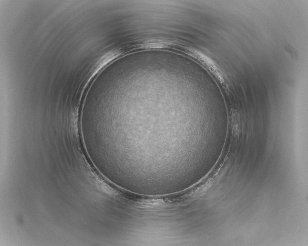 X0000116021186200911201228