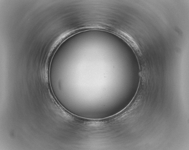 X0000116021188200911201228
