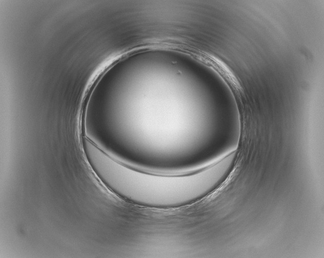 X0000116021196200911201228