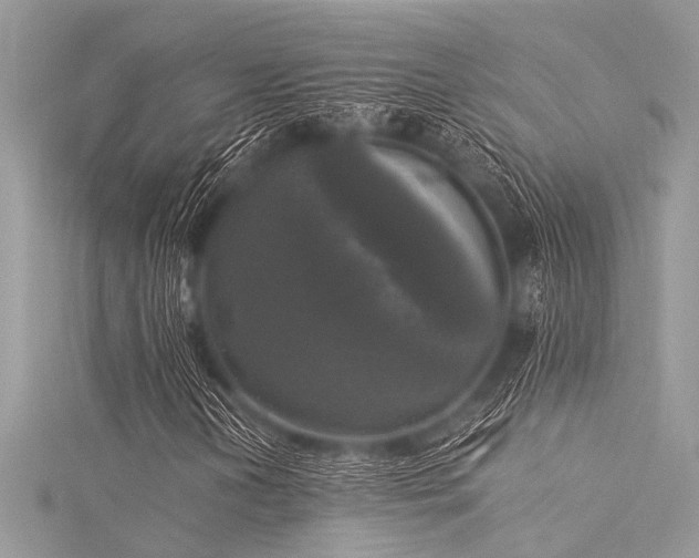 X0000116021202200911201227