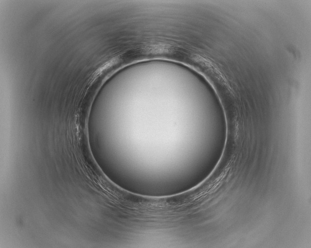 X0000116021210200911201227