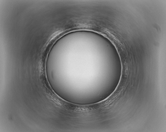 X0000116021215200911201227