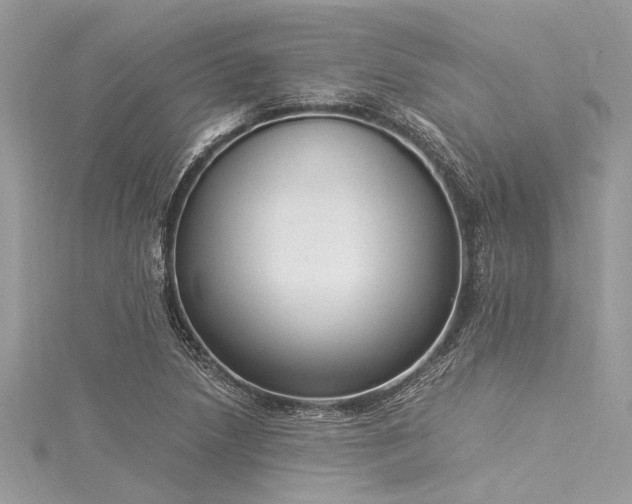 X0000116021218200911201227