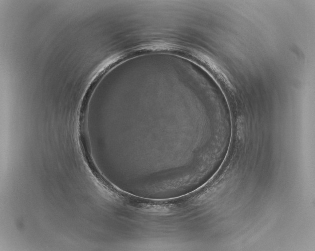 X0000116021229200911201228
