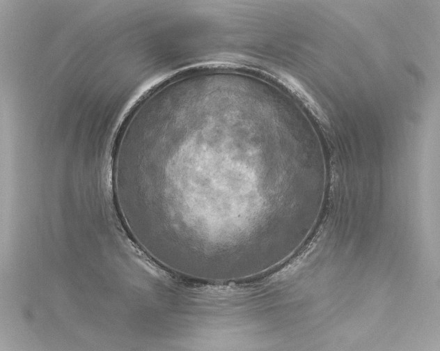 X0000116021232200911201228