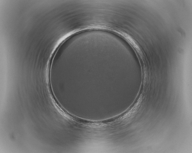 X0000116021246200911201228