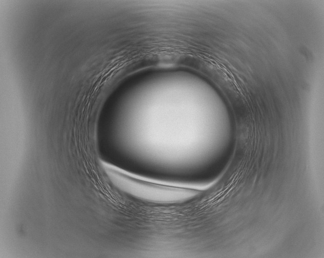 X0000116021249200911201227