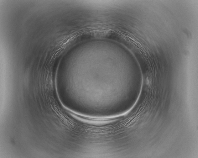 X0000116021252200911201227