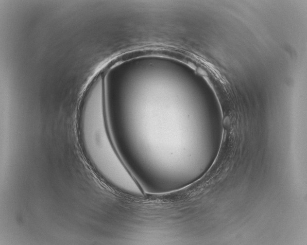 X0000116021264200911201227