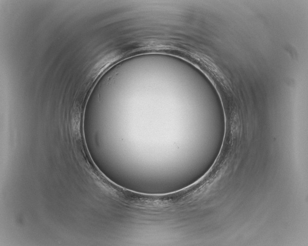 X0000116021273200911201227