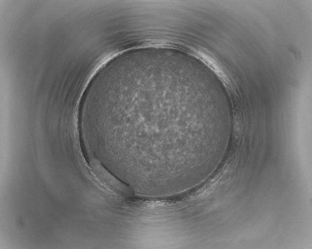 X0000116021283200911201227
