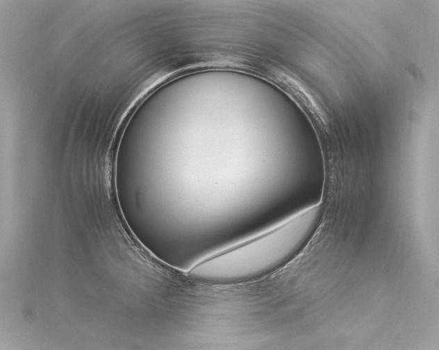 X0000116021284200911201227