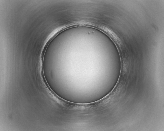 X0000116021286200911201227