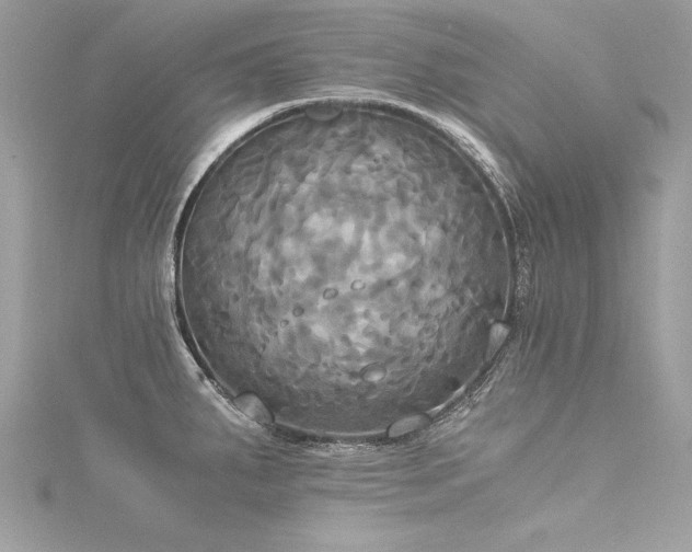 X0000116021287200911201227