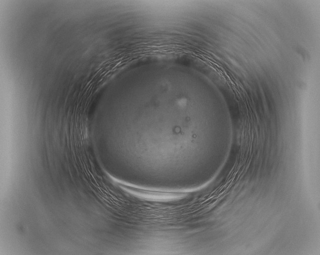 X0000116021298200911201226