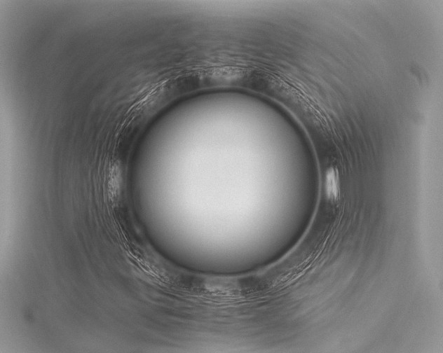 X0000116021299200911201226