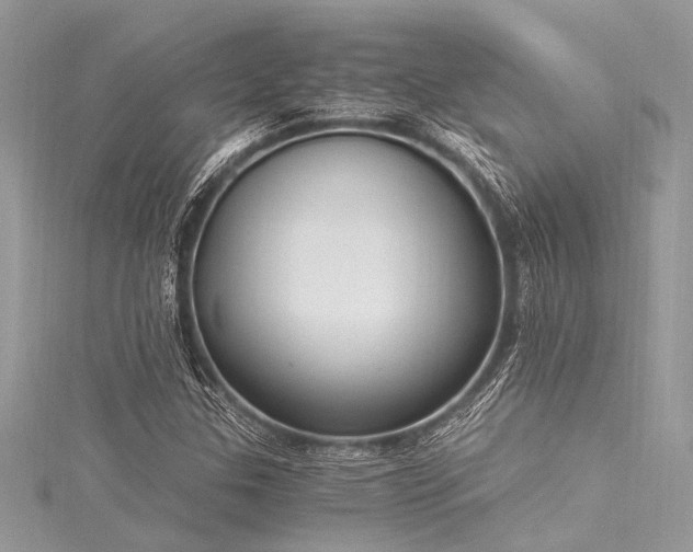 X0000116021307200911201226