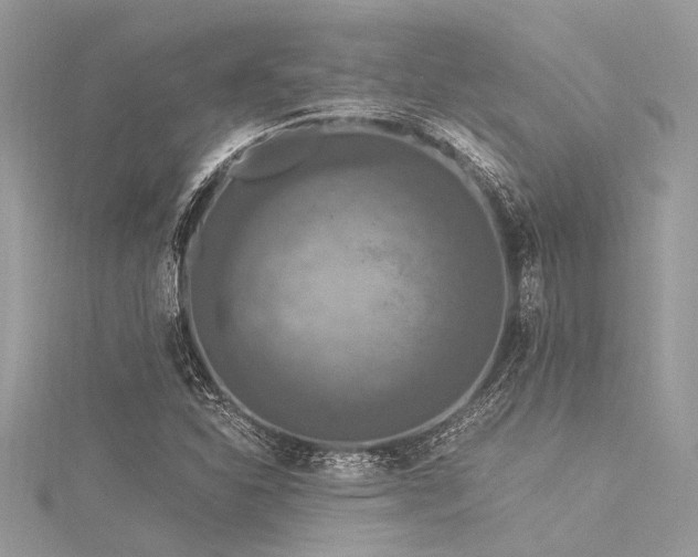 X0000116021310200911201226