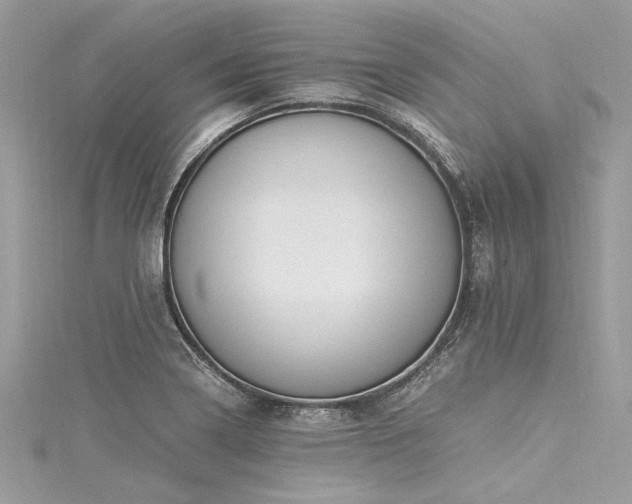 X0000116021322200911201226