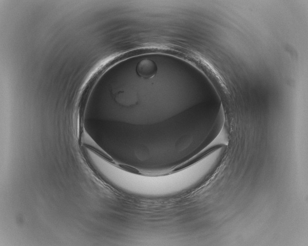 X0000116021323200911201226