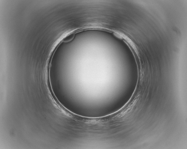 X0000116021341200911201227