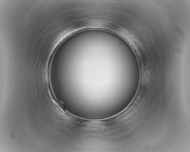 X0000116021342200911201227