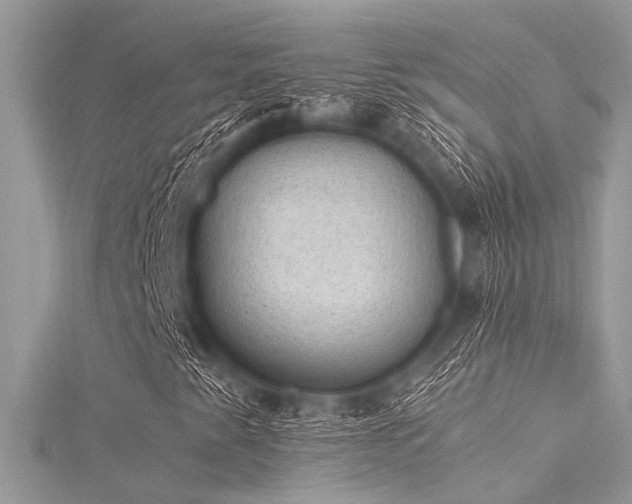 X0000116021345200911201226