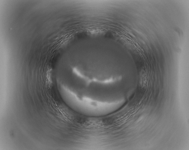 X0000116021346200911201226