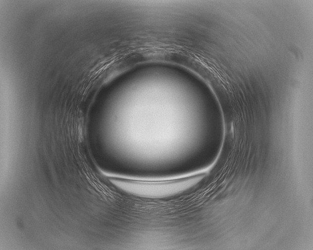 X0000116021348200911201226