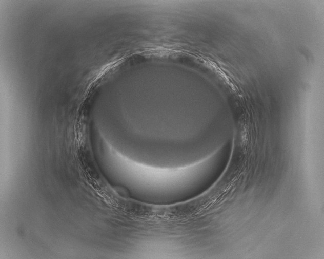X0000116021350200911201226