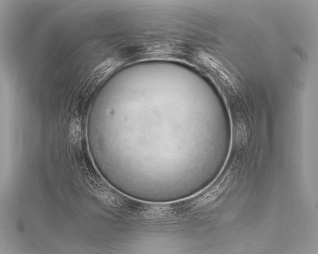 X0000116021353200911201226