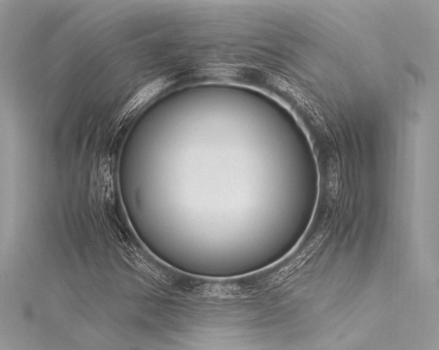 X0000116021354200911201226
