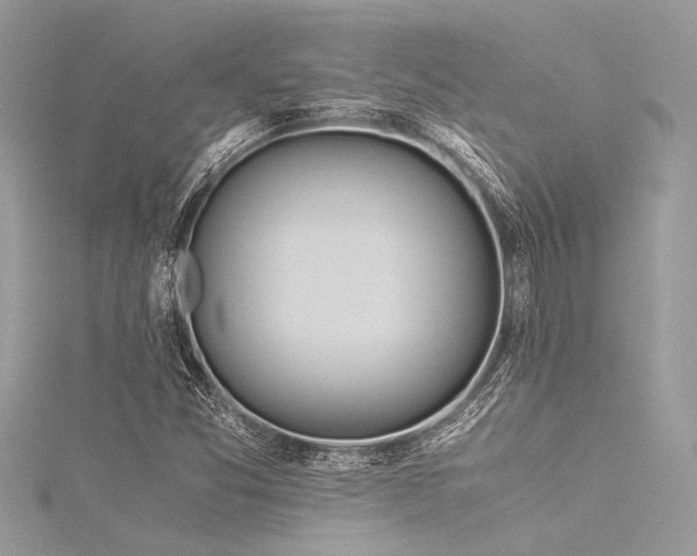 X0000116021357200911201226