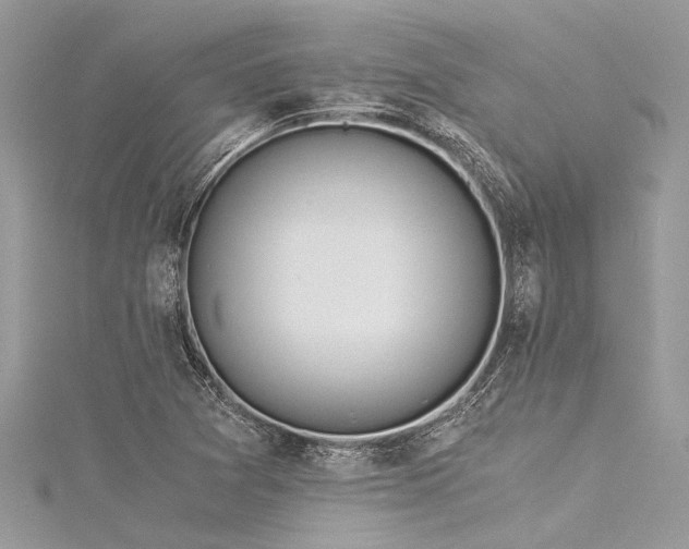 X0000116021361200911201226