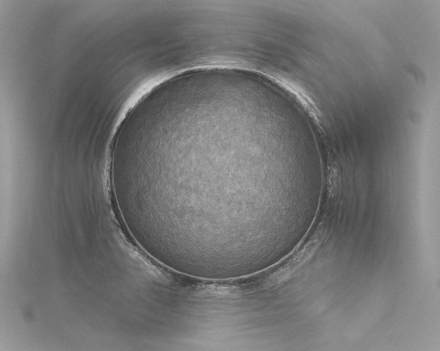 X0000116021374200911201226