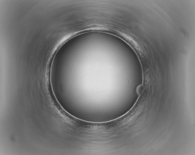 X0000116021375200911201226