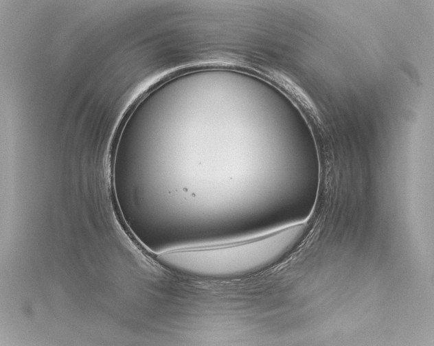 X0000116021380200911201226