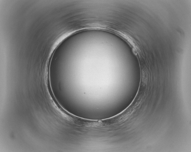 X0000116021387200911201225