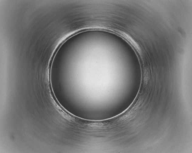 X0000116021388200911201225