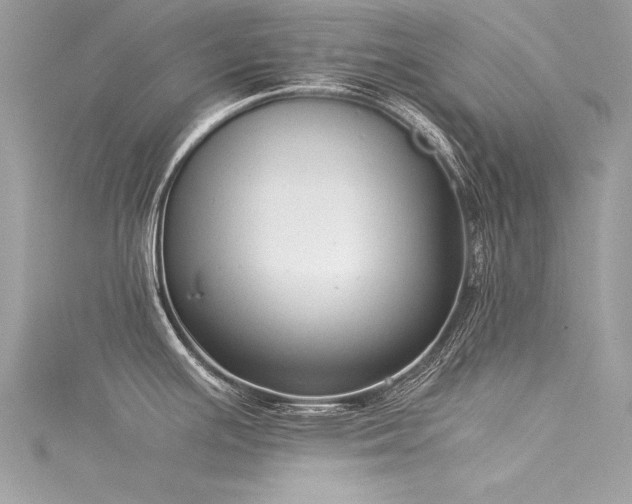 X0000116021391200911201225