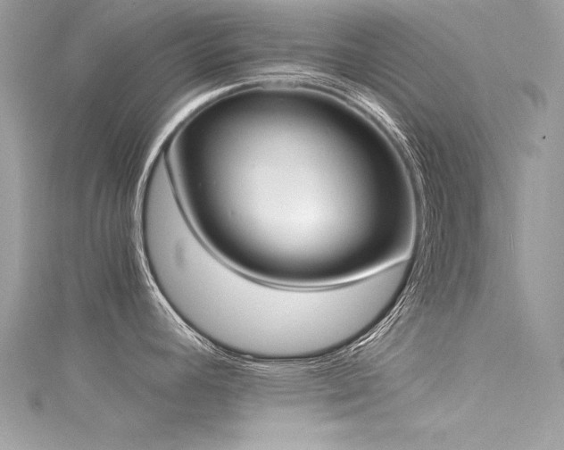 X0000116021392200911201225