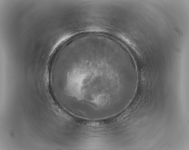 X0000116021408200911201225