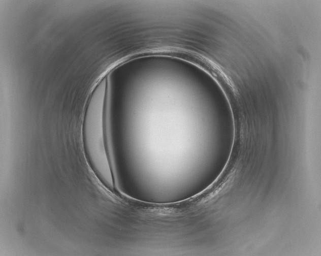 X0000116021417200911201225