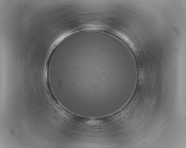 X0000116021419200911201225