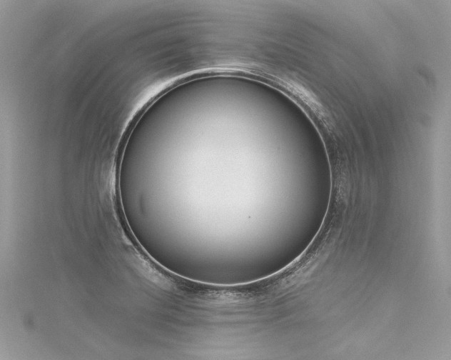 X0000116021420200911201225
