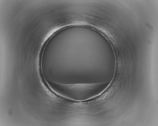 X0000116021422200911201225