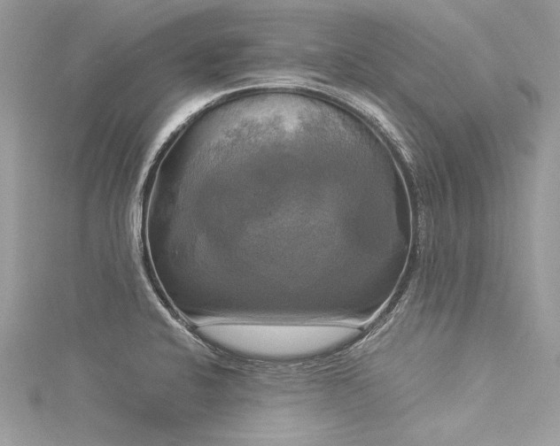 X0000116021424200911201225