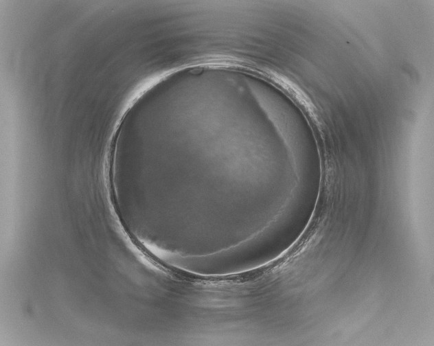 X0000116021429200911201225
