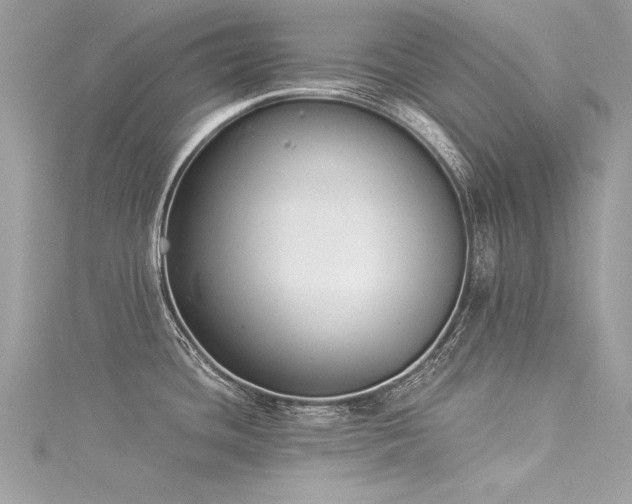 X0000116021436200911201225
