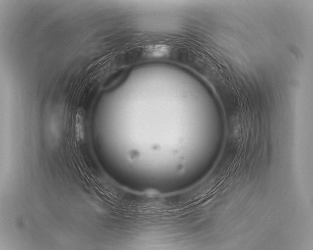 X0000116021442200911201225